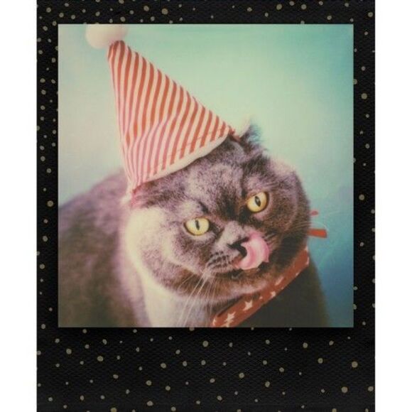 Polaroid Originals 4932 Color 600 Instant Film (Gold Dust Edition, 8 Exposures) - Picture 3 of 7